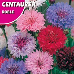 Semillas centaurea doble...