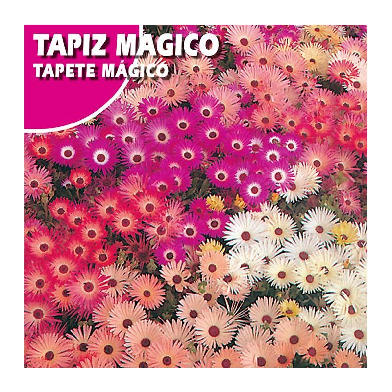 Semillas de Tapiz Magico