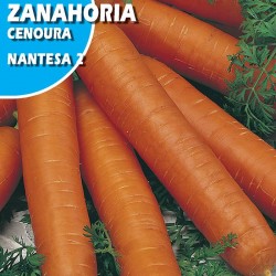 ZANAHORIA MANTESA