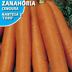 ZANAHORIA MANTESA TORO