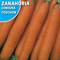 ZANAHORIA TOUCHON