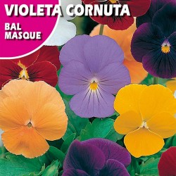 Semillas violeta cornuta bal masque variada