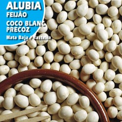 ALUBIA COCO BLANC