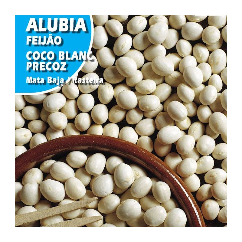 ALUBIA COCO BLANC