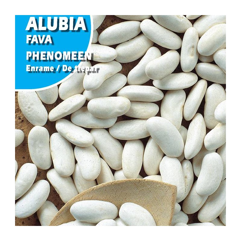 ALUBIA PHENOMEN