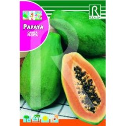 Semillas papaya