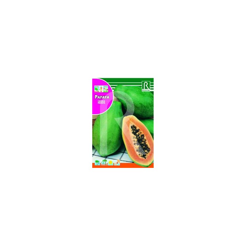 Semillas papaya