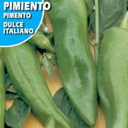 PIMIENTO DULCE ITALIANO