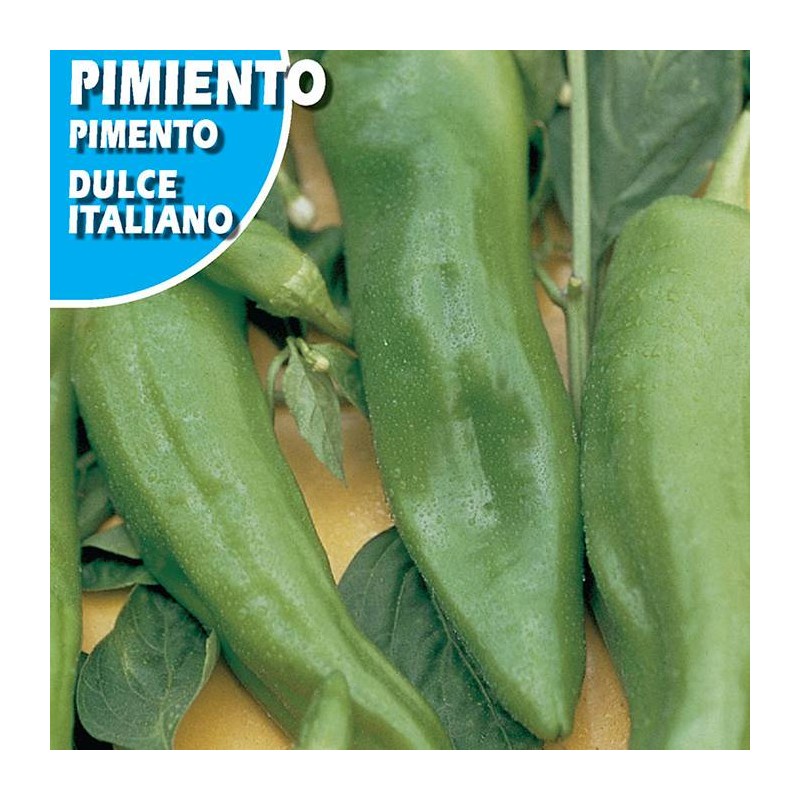PIMIENTO DULCE ITALIANO