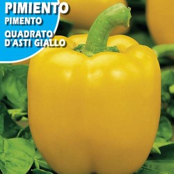 PIMIENTO CUADRATO D'ASTI GIALLO
