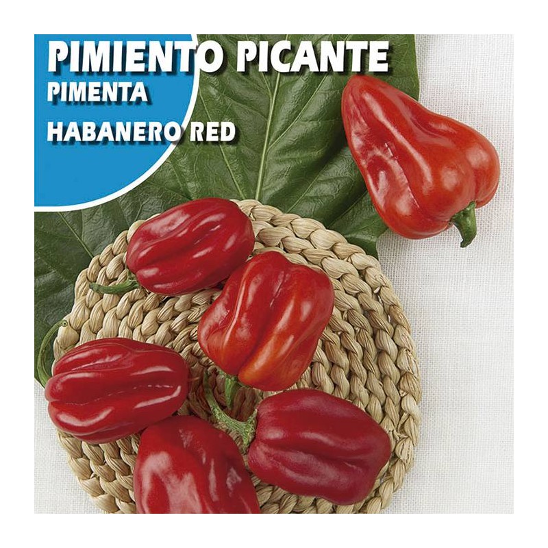Semillas pimiento picante habanero red