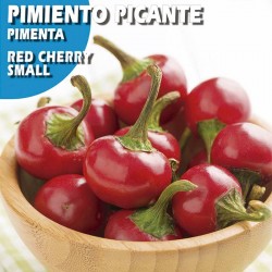 Semillas pimiento picante red cherry small
