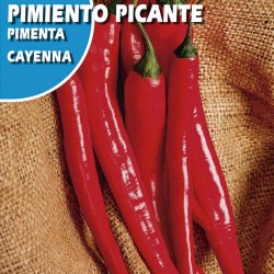 Semillas pimiento picante cayenna