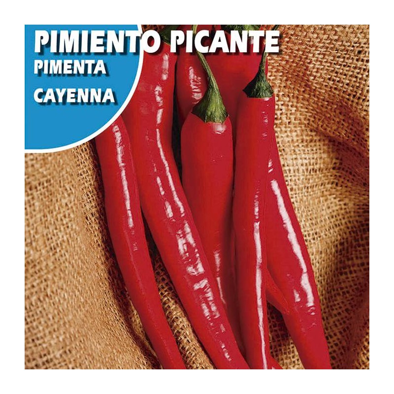 Semillas pimiento picante cayenna