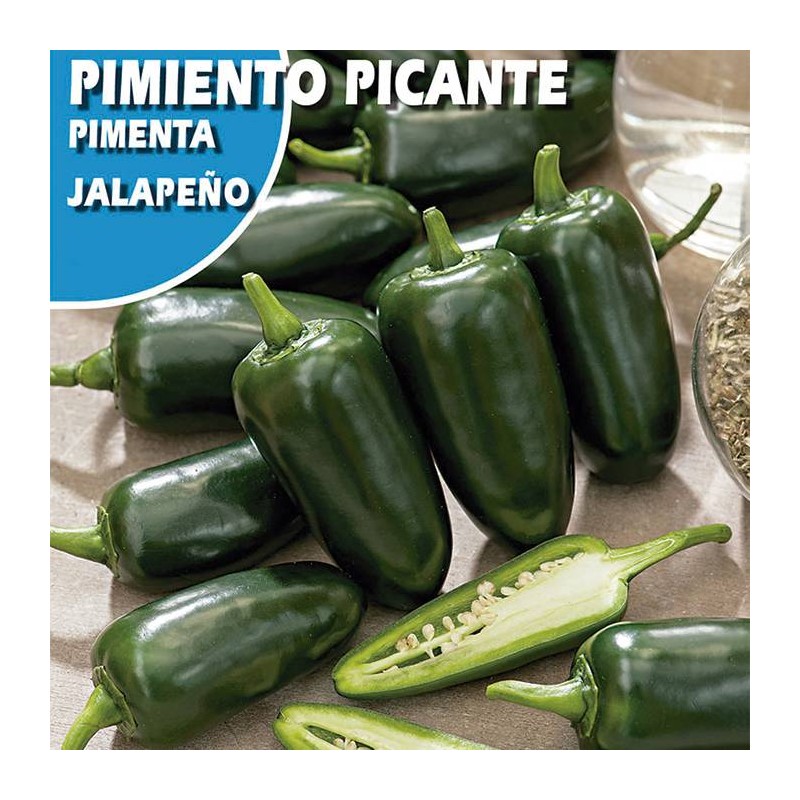 Semillas pimiento picante jalapeño