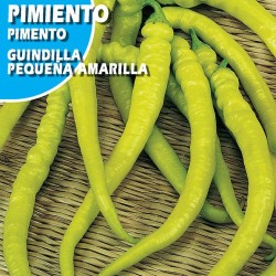 Semilla pimiento guindilla pequeña amarilla