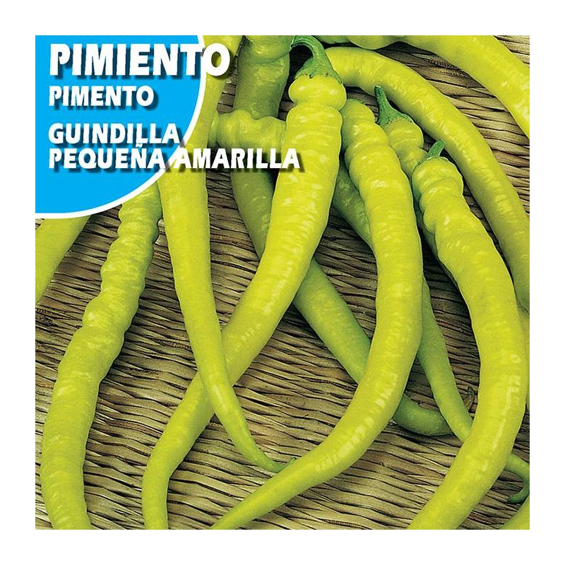 Semilla pimiento guindilla pequeña amarilla