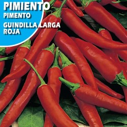 PIMIENTO GUINDILLA ROJA