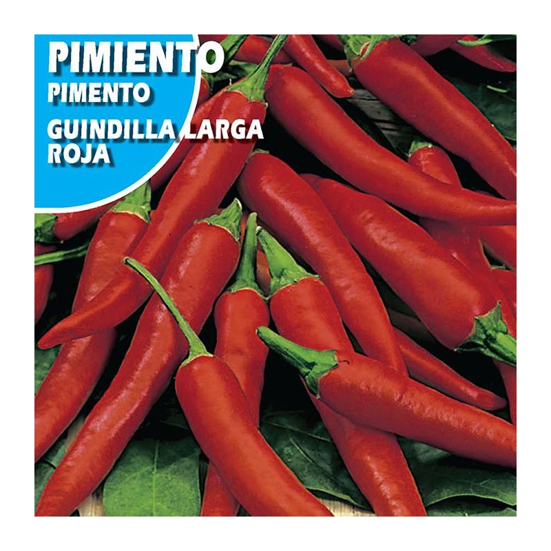 PIMIENTO GUINDILLA ROJA
