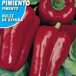 Pimiento Dulce de España