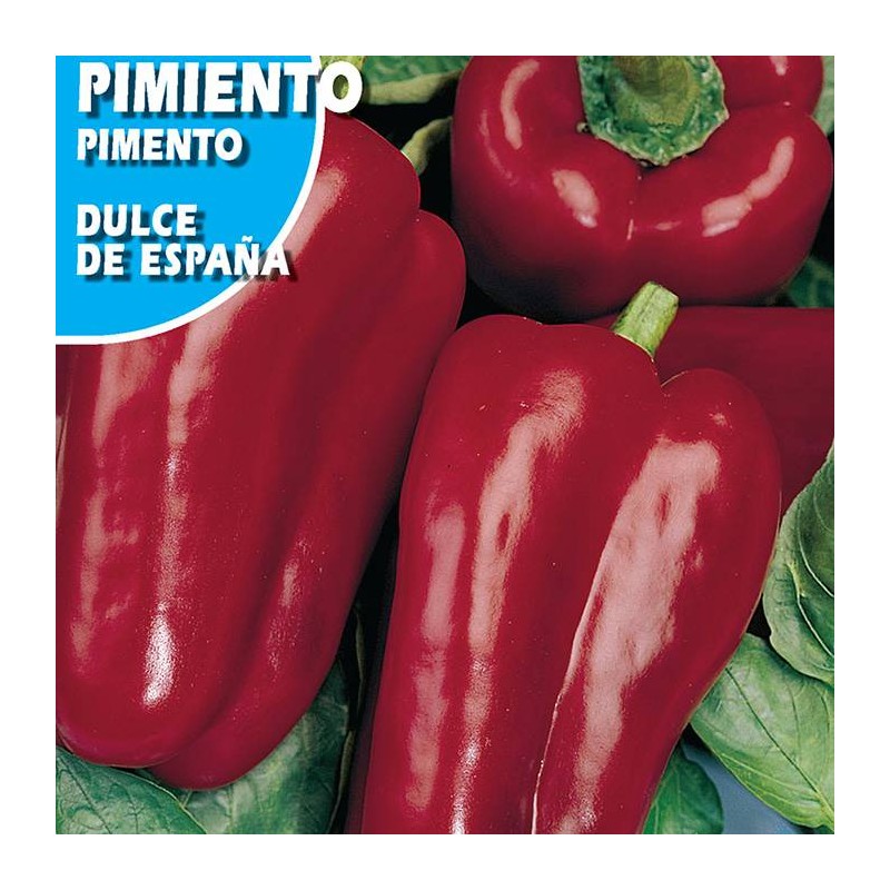 Pimiento Dulce de España