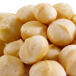 Macadamia injertada