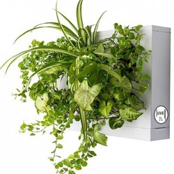Jardín Vertical Live VITHAL GARDEN