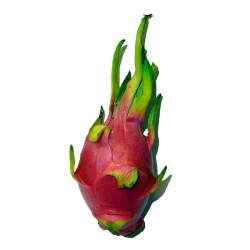 Pitahaya undatus
