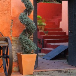Cono Cuadrado Alto 