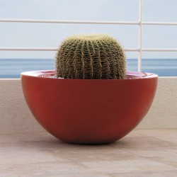 Sfera