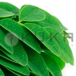 Moringa