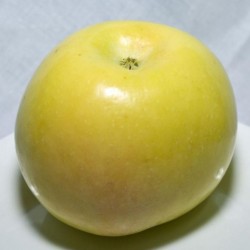 MANZANO VERDE DONCELLA