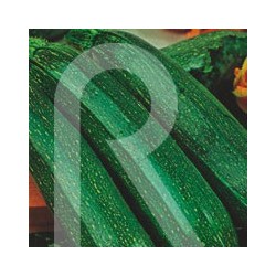 CALABAZIN VERDE MATA COMPACTA