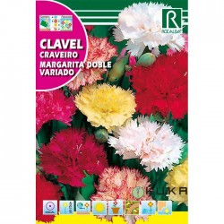 Semillas clavel margarita...