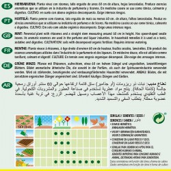 Semillas hierbabuena