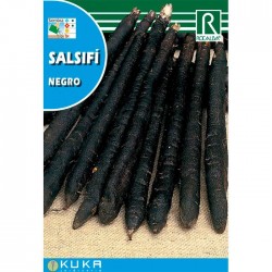 Semillas salsifi negro