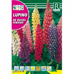 Semillas lupino polypgylle...