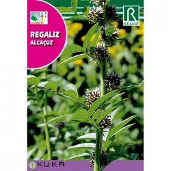 Semillas regaliz