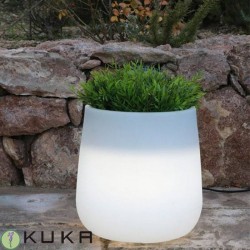 Macetero cono  camelia light
