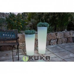 Macetero cono Ficus solar +...