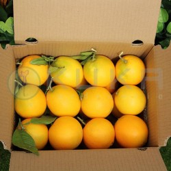 Naranjas de zumo