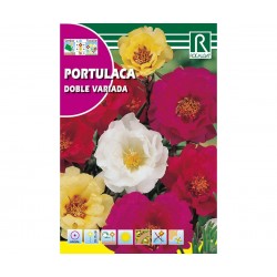 Semillas portulaca doble var.