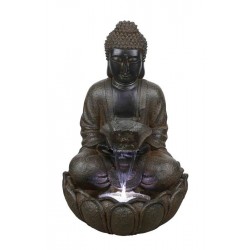 Fuente buddha p.