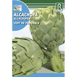 Semillas alcachofa vert de...