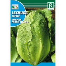 Semillas lechuga parris...