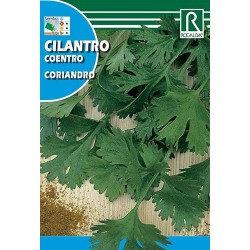 Semillas  Cilantro