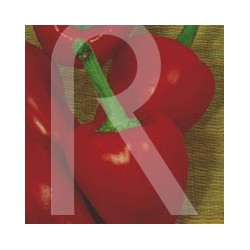 PIMIENTO MORRON DE CONSERVA