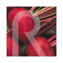 REMOLACHA ROJA APLASTADA DE EGIPTO