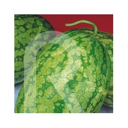 SANDIA KLONDIKE