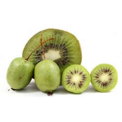 Kiwi kolomikta